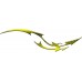 DragonTail_100